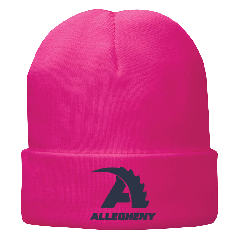 Pink Beanie Hat