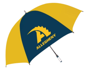 Gold/Navy Umbrella