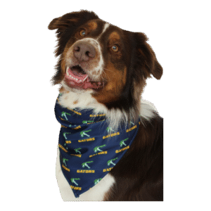 Navy Pet Bandana