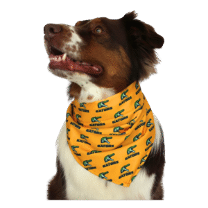 Gold Pet Bandana