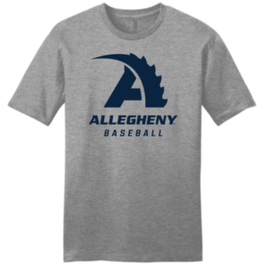 Gray Baseball T-shirt