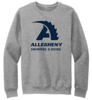 Gray Swimming & Diving Crewneck