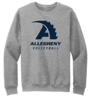 Gray Volleyball Crewneck