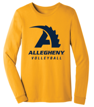 Gold Volleyball Long Sleeve T-shirt