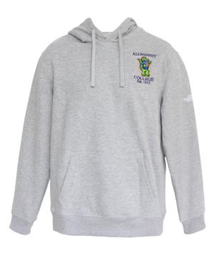Product image for The North Face Gray Vintage Gator Pullover Hoodie