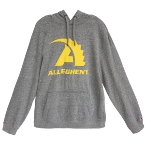 Gray Action A Hoodie